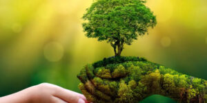 La sostenibilità ambientale