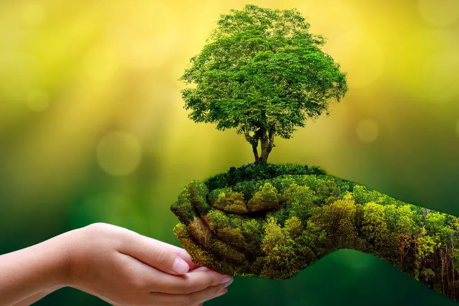 La sostenibilità ambientale