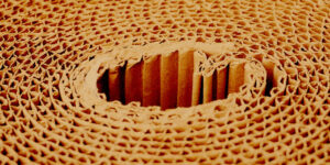 Il cartone ondulato per soluzioni di imballaggio