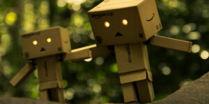 Sorprendenti confezioni in cartoncino